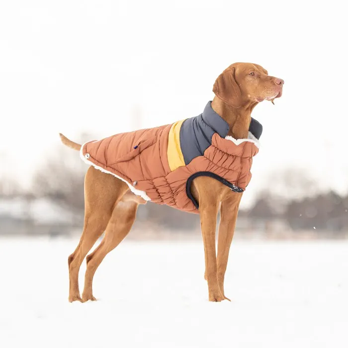PetTee Apparel - Where Pets Come to Shop Picture 10