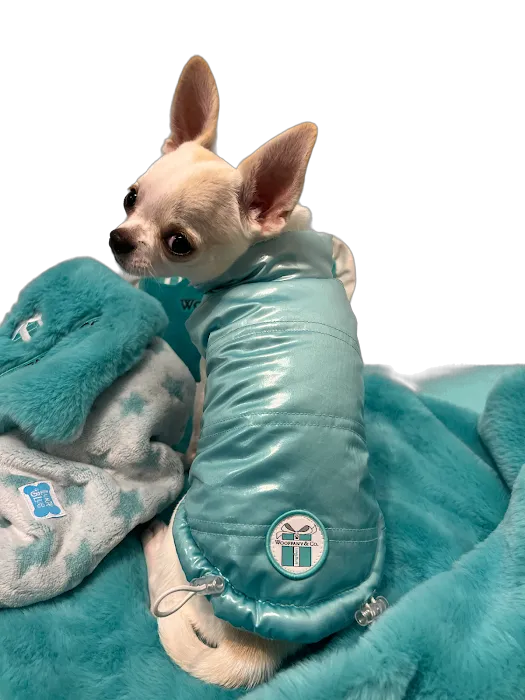 PetTee Apparel - Where Pets Come to Shop Picture 9