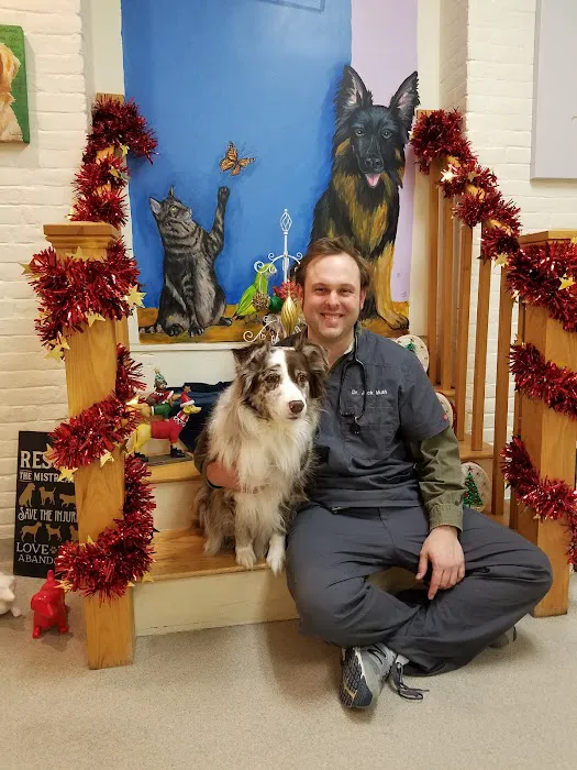 Canterbury Tails Veterinary Clinic Picture 2