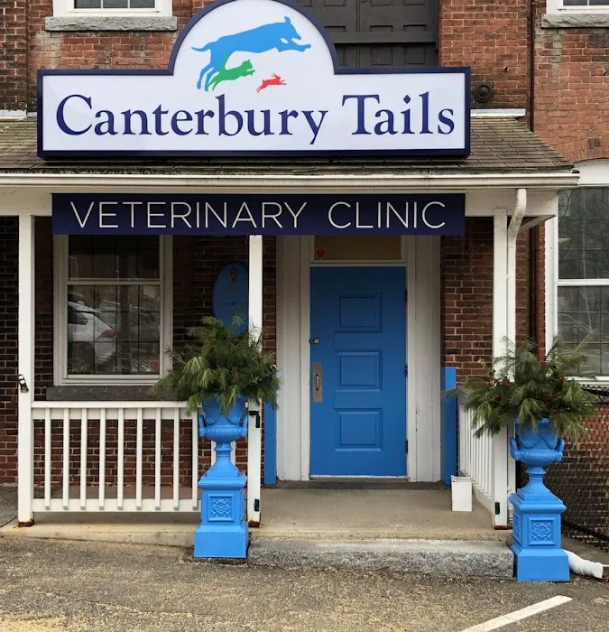 Canterbury Tails Veterinary Clinic Picture 1