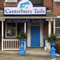 Canterbury Tails Veterinary Clinic ico