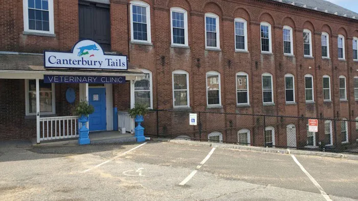 Canterbury Tails Veterinary Clinic Picture 4
