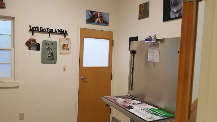 Canterbury Tails Veterinary Clinic Picture 6