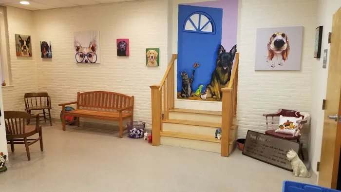 Canterbury Tails Veterinary Clinic Picture 10