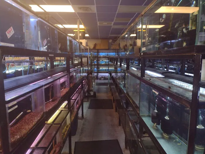Animal Island Pet Shop Picture 4