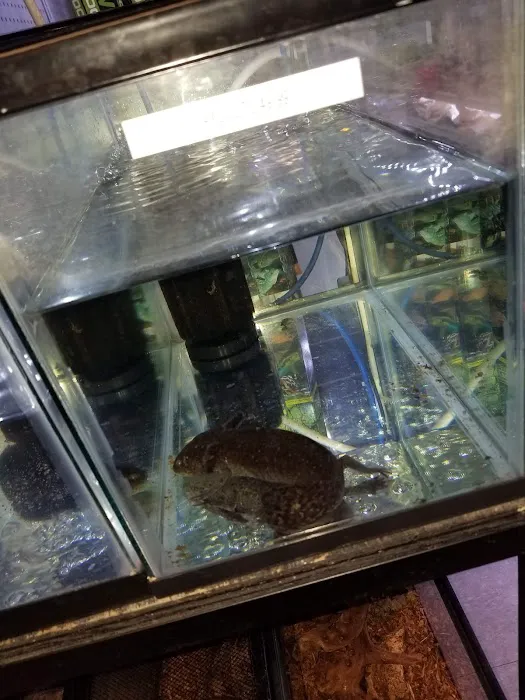 Animal Island Pet Shop Picture 9