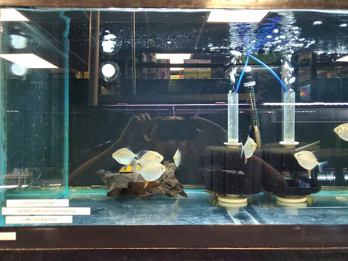 Animal Island Pet Shop Picture 8