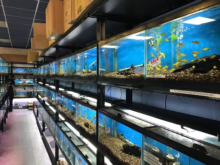 Animal Island Pet Shop Picture 10