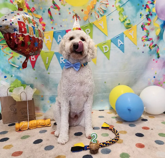 The Barketplace Picture 3