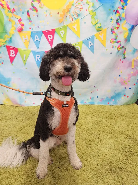 The Barketplace Picture 6