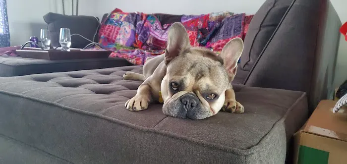 Belchertown Veterinary Hospital Picture 6