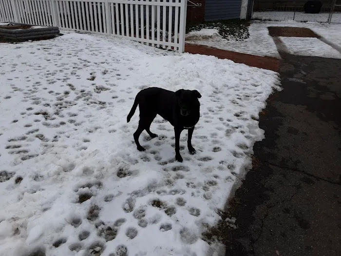 Belchertown Veterinary Hospital Picture 4