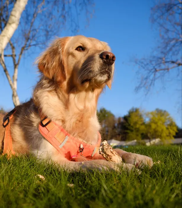 Belchertown Veterinary Hospital Picture 5