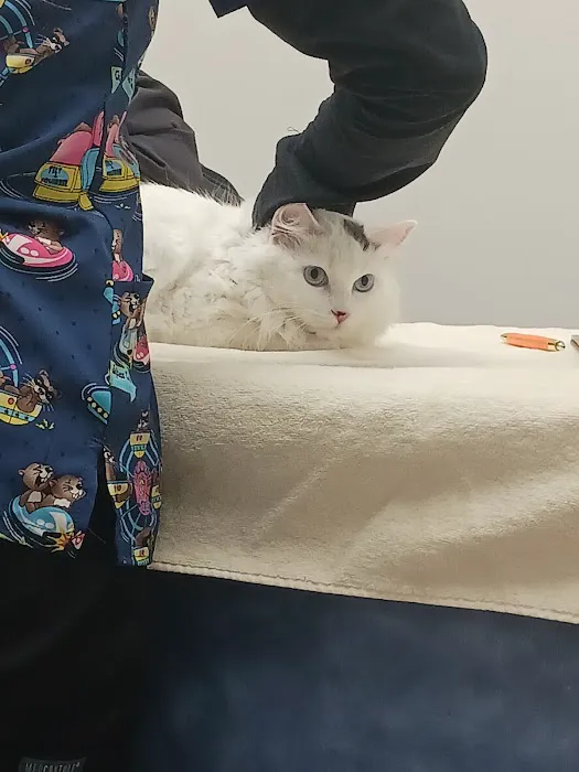 Belchertown Veterinary Hospital Picture 8