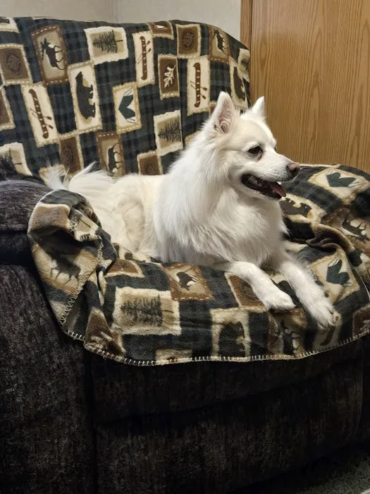 Mass Veterinary Services Inc Picture 3