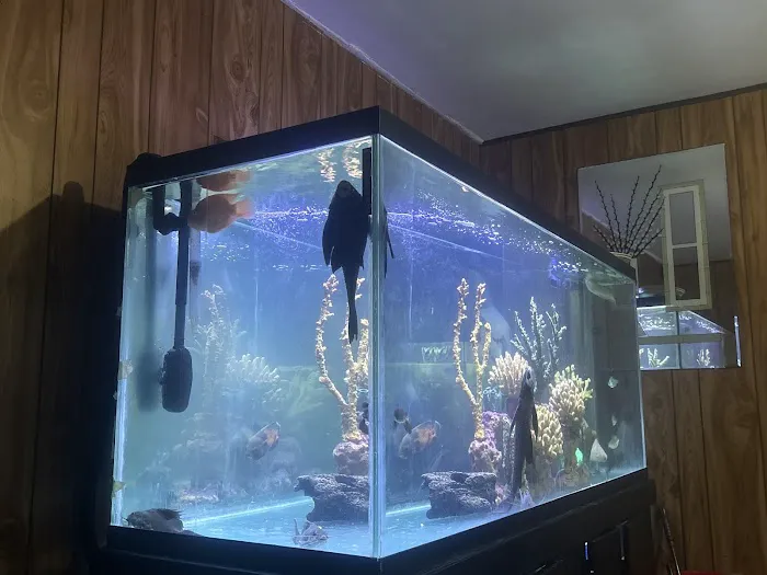 Nation Wide Aquatics Picture 9