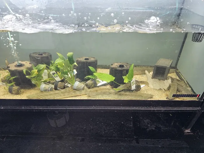 Nation Wide Aquatics Picture 8