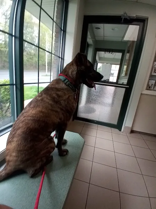 West Springfield Veterinary Clinic Picture 1