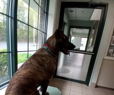 West Springfield Veterinary Clinic