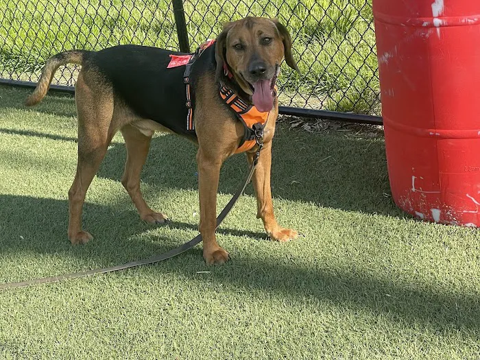 West Springfield Veterinary Clinic Picture 6