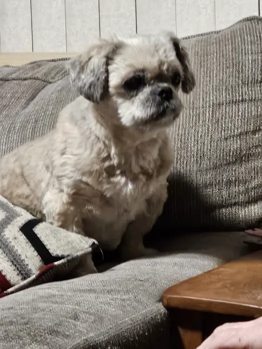 West Springfield Veterinary Clinic Picture 10