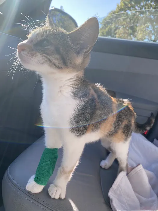 Hardwick Pond Vet Center Picture 2