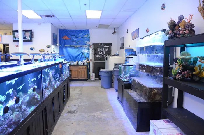 Rob's Aquatics Picture 2