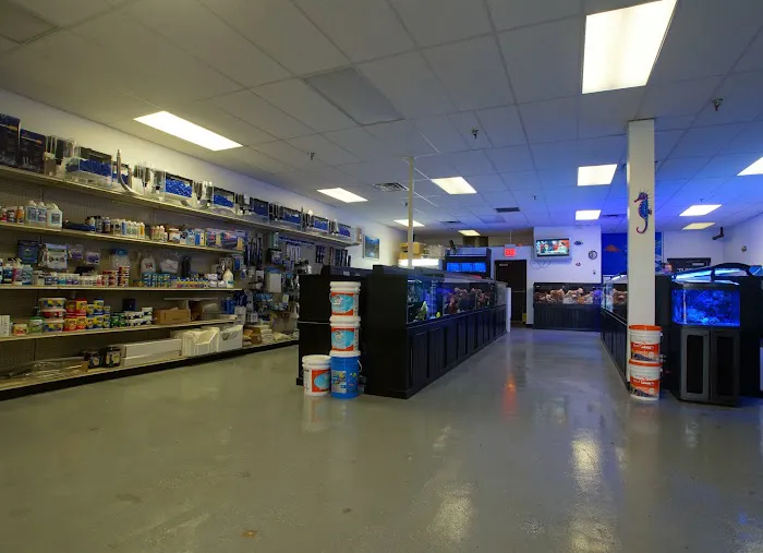 Rob's Aquatics Picture 9