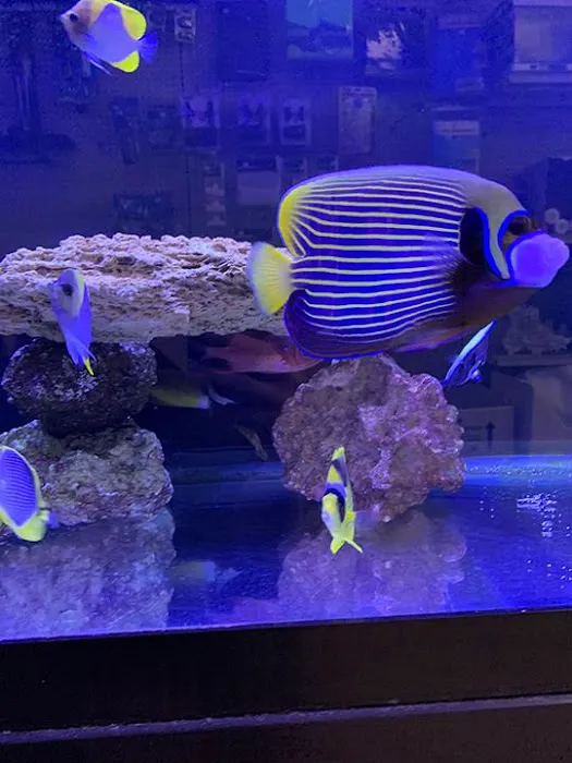 Rob's Aquatics Picture 10