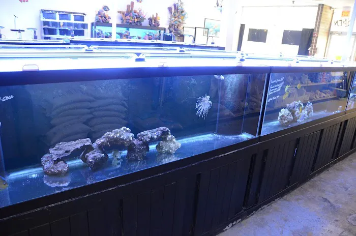 Rob's Aquatics Picture 8