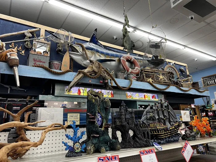 Animal Krackers Pet Center Picture 2