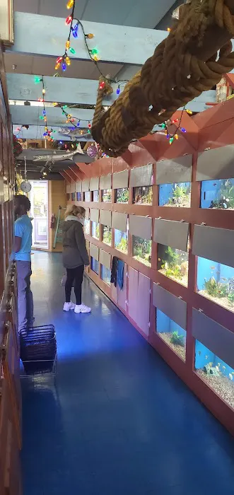 Animal Krackers Pet Center Picture 6