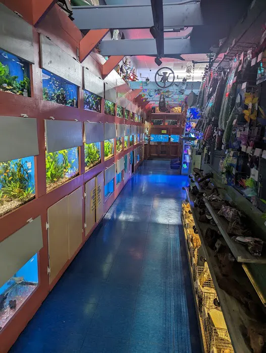 Animal Krackers Pet Center Picture 9