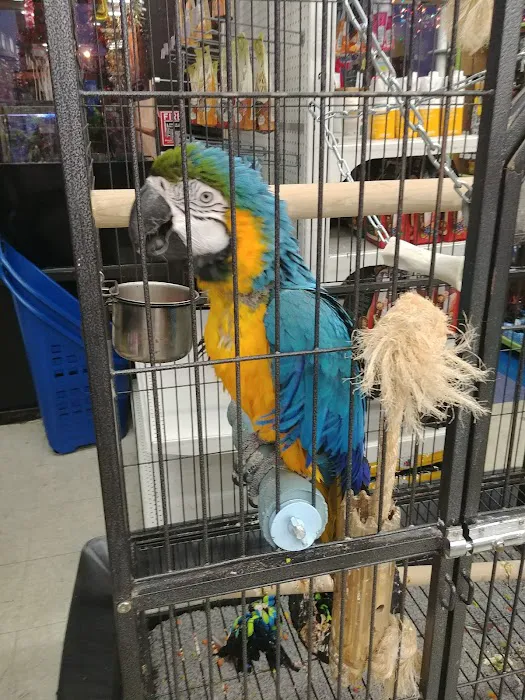 Animal Krackers Pet Center Picture 5