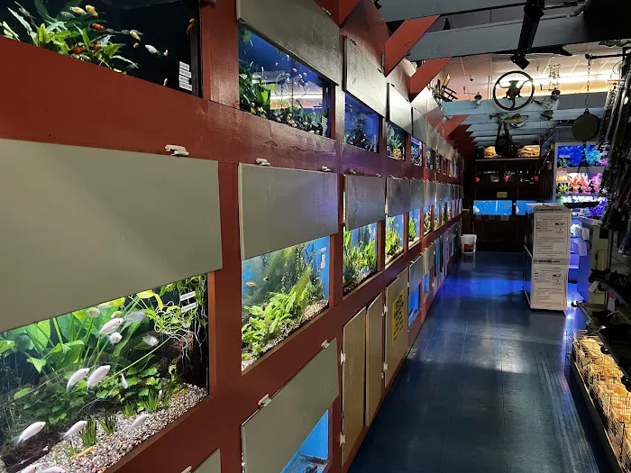 Animal Krackers Pet Center Picture 4