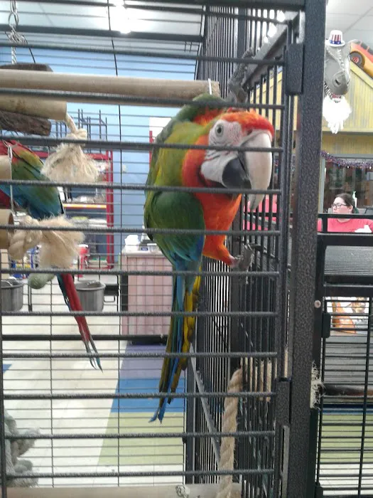 Animal Krackers Pet Center Picture 8