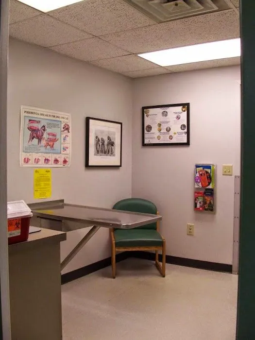 VCA Wickaboag Animal Hospital Picture 1