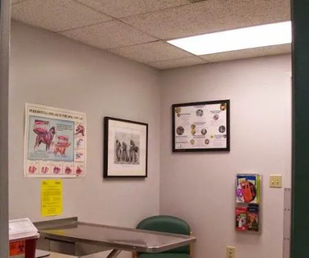 VCA Wickaboag Animal Hospital