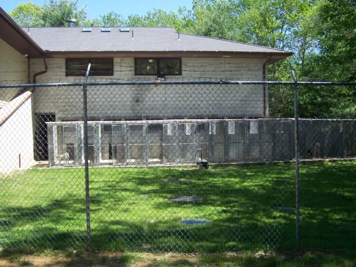 VCA Wickaboag Animal Hospital Picture 8
