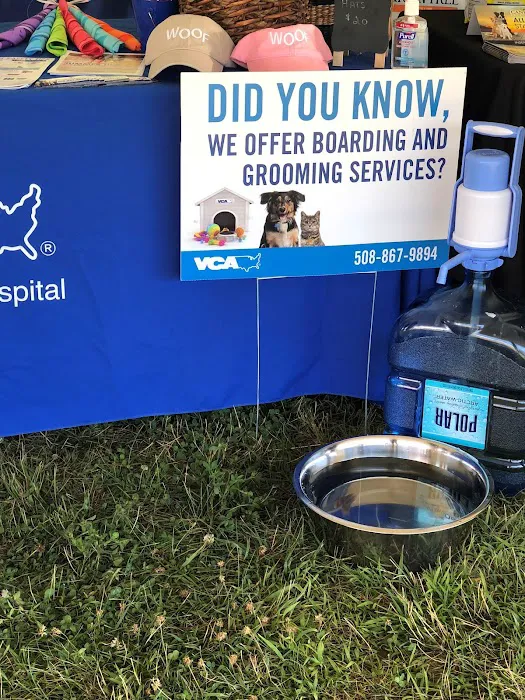 VCA Wickaboag Animal Hospital Picture 10