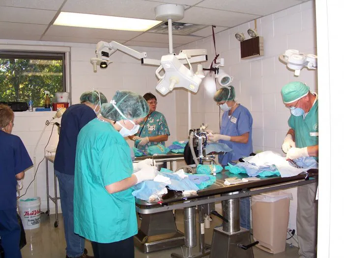 VCA Wickaboag Animal Hospital Picture 7