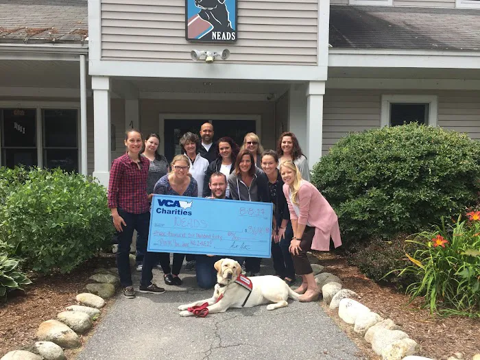VCA Wickaboag Animal Hospital Picture 6