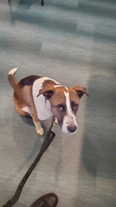 Landau Veterinary Services Picture 9
