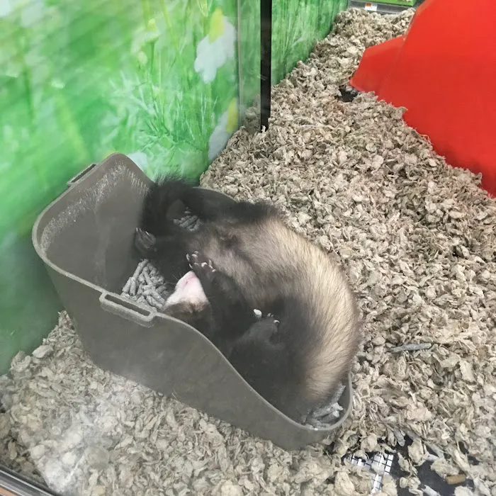 Petco Picture 7