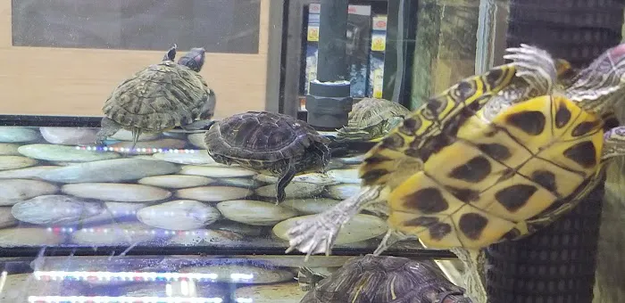 Petco Picture 4