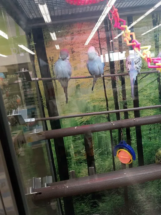 Petco Picture 2