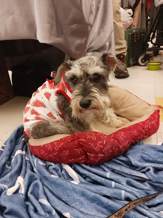 Petco Picture 3
