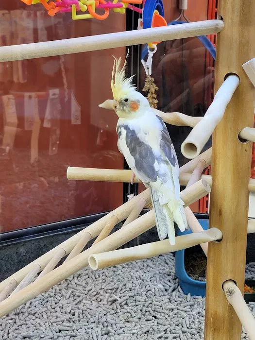 Petco Picture 4