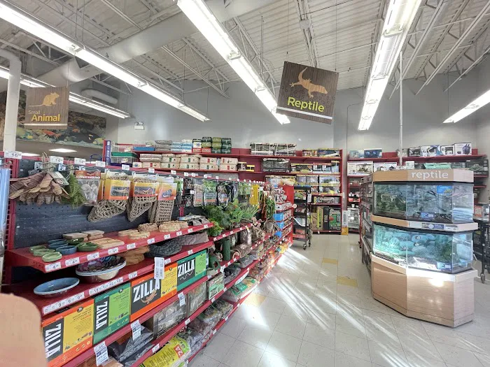 Petco Picture 2