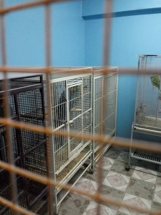 Paradise De Aves Pet Shop Picture 2